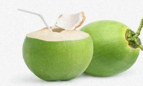 kelapa, protein