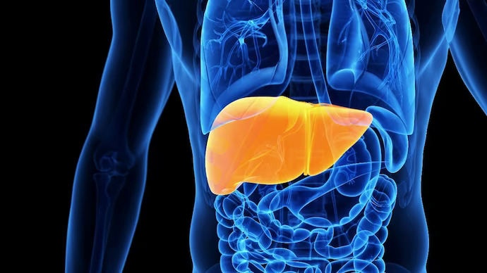 10 Kiat Hidup Agar Hati Sehat Dan Umur Panjang