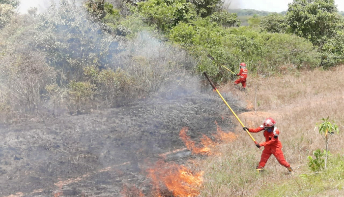 26 Pelaku Pembakaran Lahan Di Sumatra Selatan Ditangkap Polisi