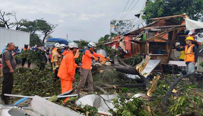 Angin Kencang Hantam Rumah Dan Tumbangkan Pohon