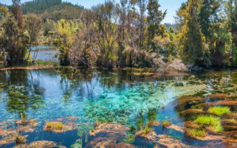 Danau Biru Di Selandia Baru