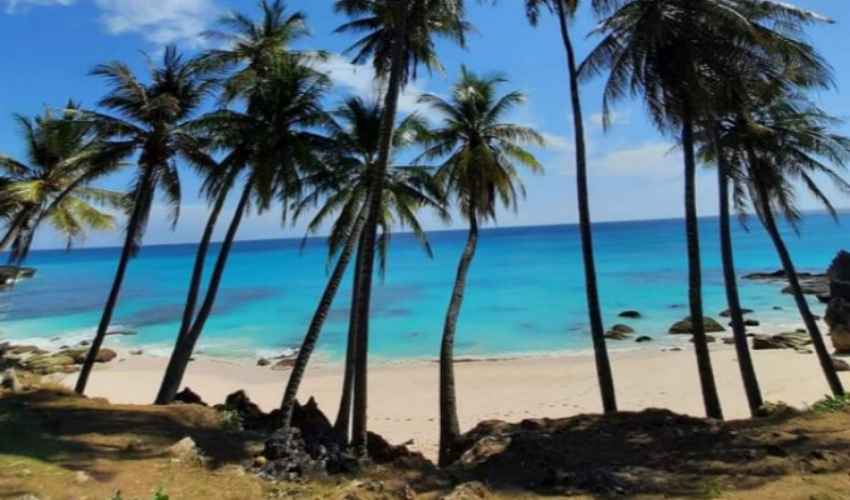 Pantai Berpasir Putih Di Nusa Tenggara Timur