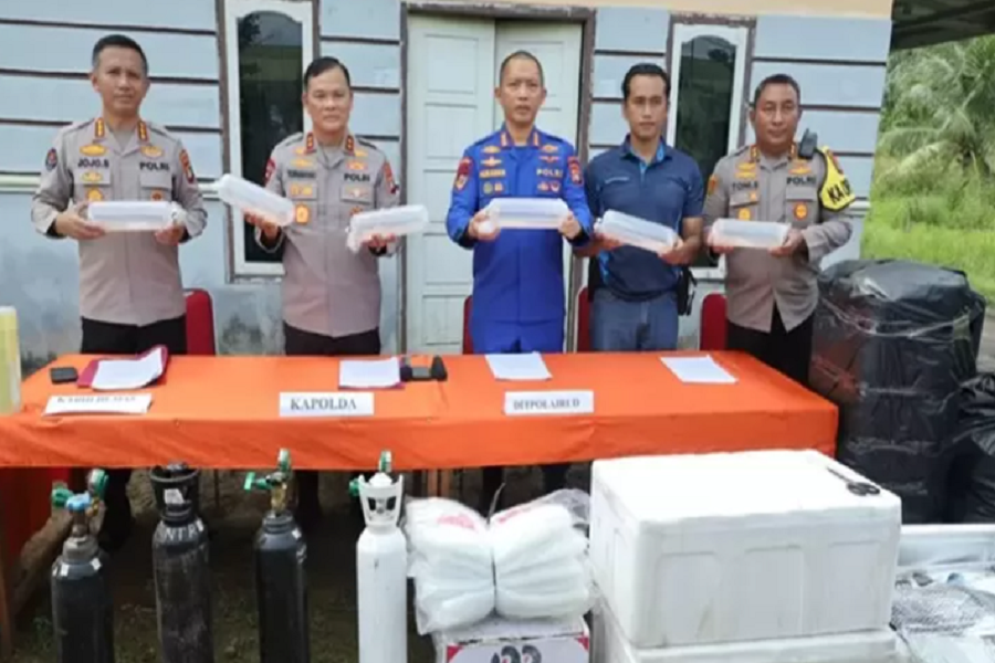 Polisi Gerebek Lobster Ilegal Seharga 35 M