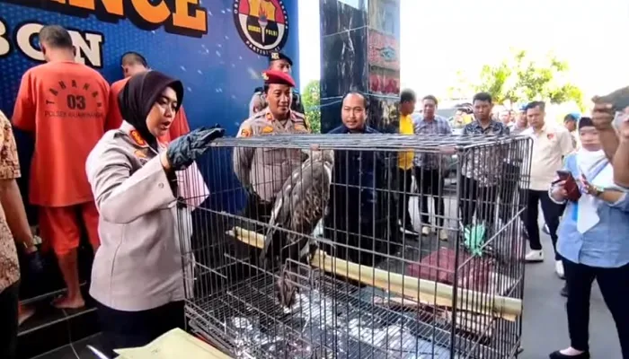 Jual 6 Satwa Dilindungi, Pelajar Di Cirebon Dibekuk Polisi