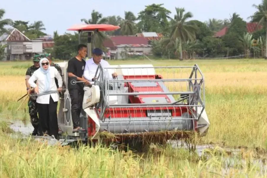 Wamentan: Bulog Harus Serap Gabah Petani Sesuai HPP