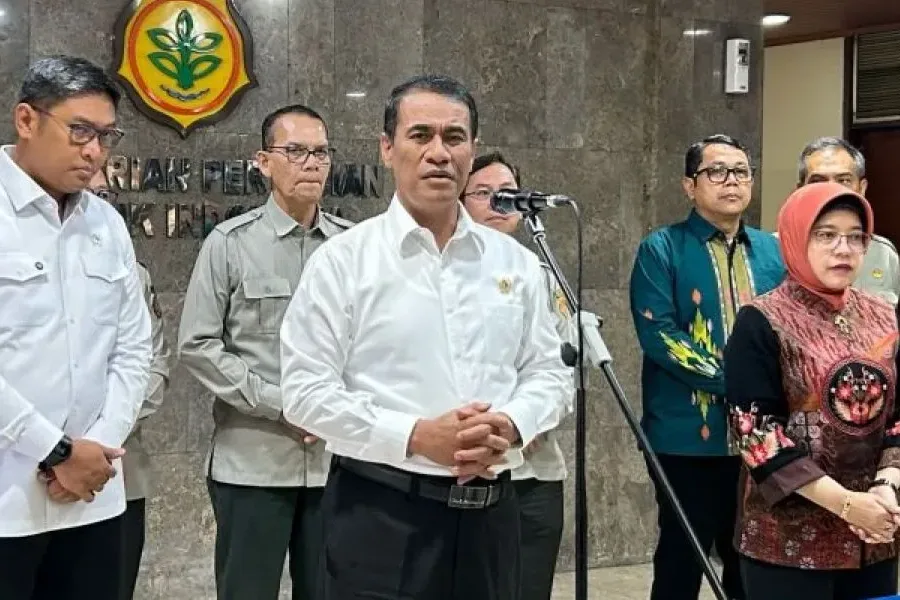 Produksi Padi Januari-Maret 2025 Diprediksi Naik 50 Persen