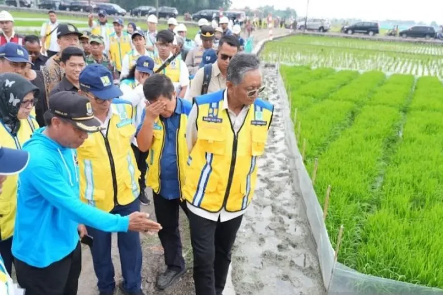 Irigasi Padi Hemat Air Akan Diterapkan Di Seluruh Indonesia