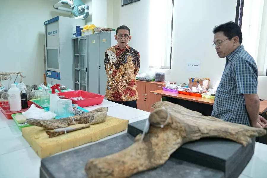 Jejak Kehidupan Manusia Purba Di Sangiran