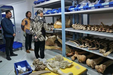 jejak kehidupan manusia purba