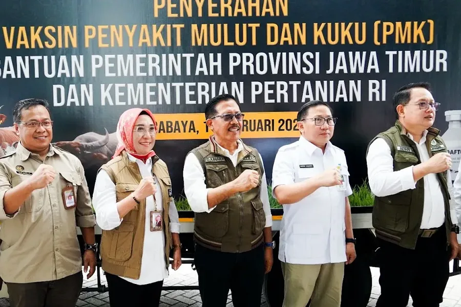 652 Ribu Dosis Vaksin PMK Tahap 2 Didistribusikan Ke Jawa Timur