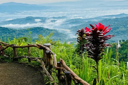 bukit ngisis