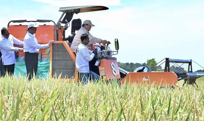 Stok Beras Cetak Rekor Tertinggi 20 Tahun