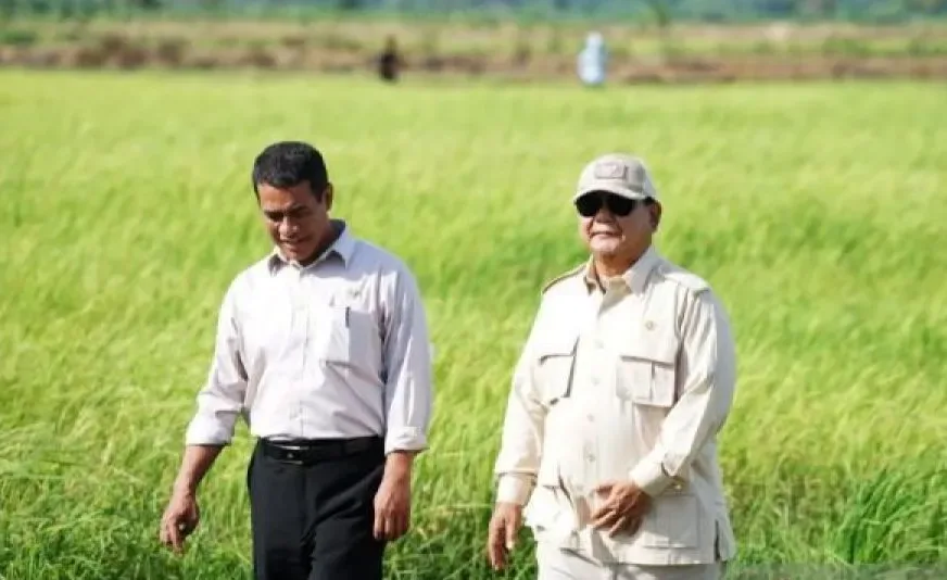 Indonesia Siap Ekspor 27 Ribu Ton Jagung Di Pertengahan Juni