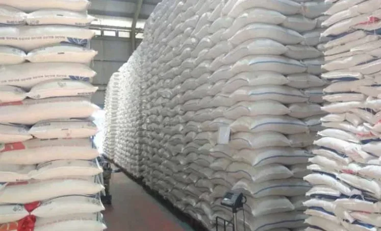 Produksi Beras RI Diperdiksi Tertinggi Di ASEAN Versi USDA