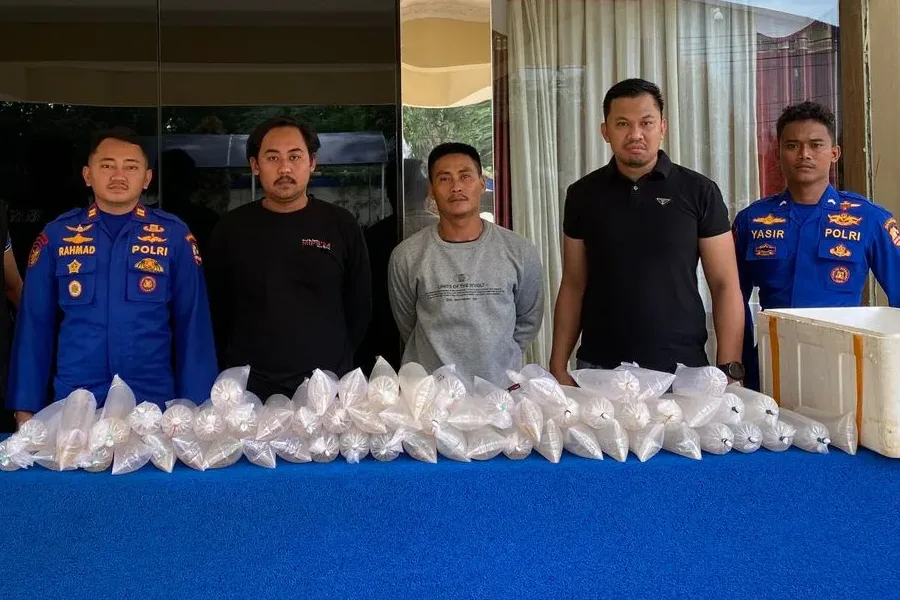 Polairud Baharkam Gagalkan Ribuan Ekor Benih Lobster Selundupan