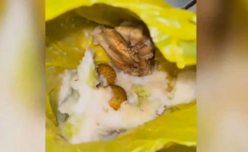 Viral Video MBG Berkantong Plastik, Ternyata Ini Faktanya