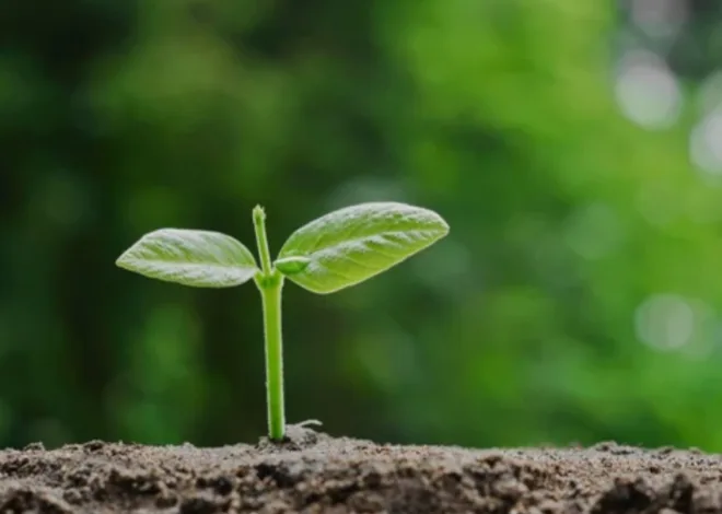 Dzikir Pagi, Al-Baqarah Ayat 268: Sedekah Cara Bersyukur, Awas Bisikan Setan