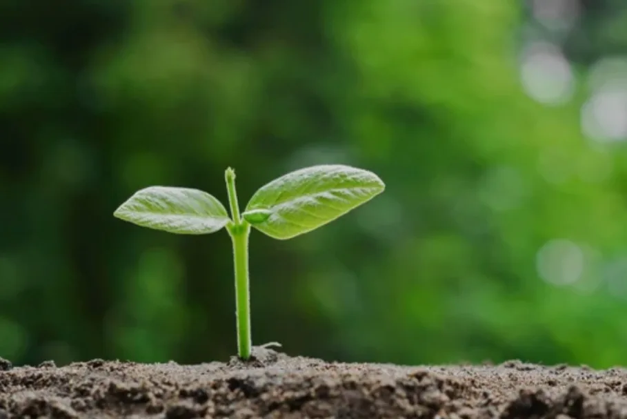 Dzikir Pagi, Al-Baqarah Ayat 268: Sedekah Cara Bersyukur, Awas Bisikan Setan