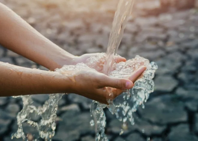 Dzikir Pagi, Ghaffir Ayat 44: Muslim Berprinsip Bahwa Setiap Urusannya Diserahkan Pada Allah