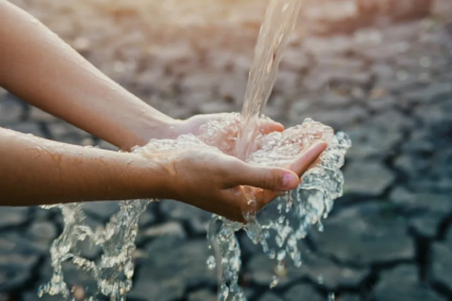 Dzikir Pagi, Ghaffir Ayat 44: Muslim Berprinsip Bahwa Setiap Urusannya Diserahkan Pada Allah