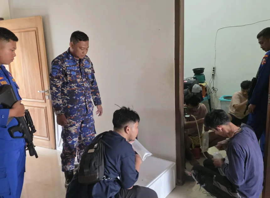 Selundupkan 47 Ribu Benih Lobster di Serang, 5 Tsk Diamankan