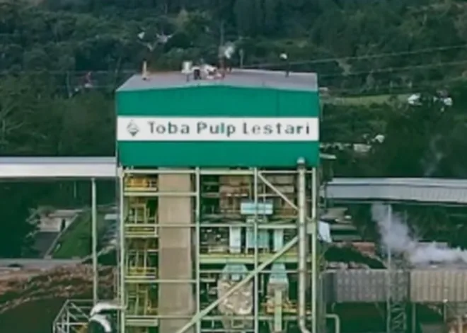 Izin Dicabut, Raksasa Pabrik Bubur Kertas Ini Bakal PHK Karyawan 12 Mei