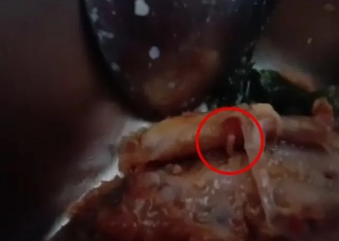 Hiii, Heboh Ulat Di Ayam dan Saus Menu MBG Di Polman