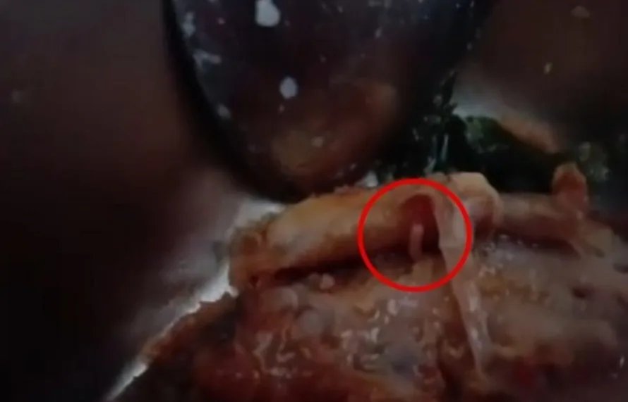 Hiii, Heboh Ulat Di Ayam dan Saus Menu MBG Di Polman