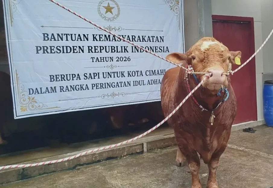 Ribut-Ribut Kurban Presiden Prabowo Pakai Duit APBN Rp100 M
