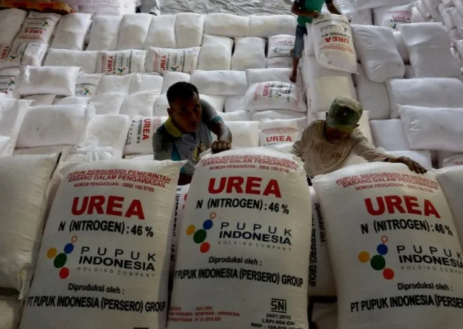 Presiden Prabowo Pangkas Harga Pupuk Subsidi 20%
