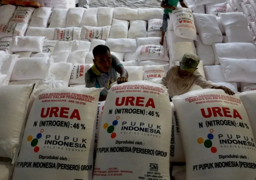 Presiden Prabowo Pangkas Harga Pupuk Subsidi 20%