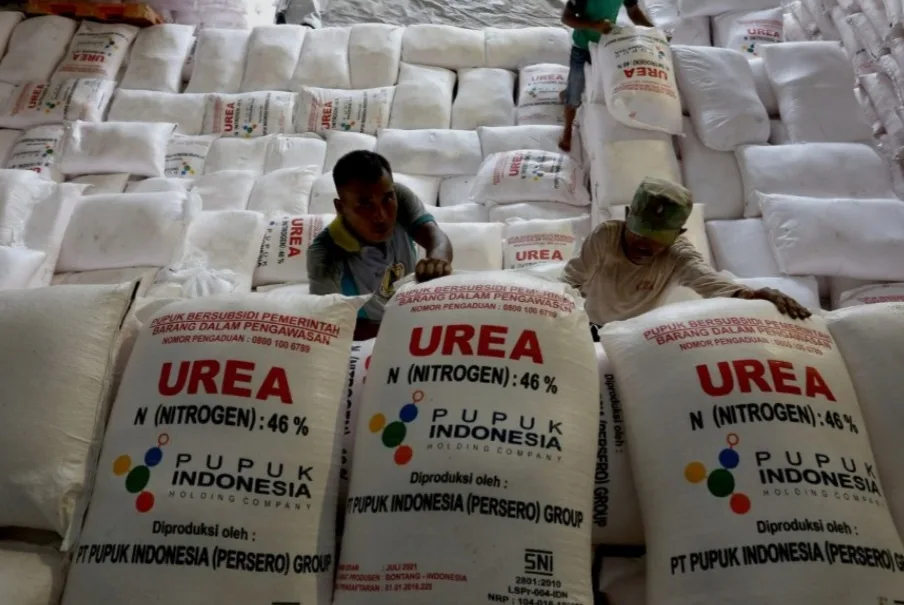 Presiden Prabowo Pangkas Harga Pupuk Subsidi 20%