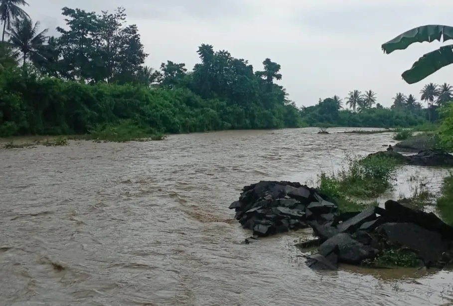Gempa Bumi Sulut, BNPB Mendeteksi Tsunami Minor Di Pesisir