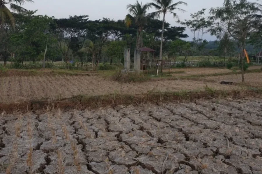 Atensi Nih, Gunungkidul Tetapkan Status Siaga Darurat Kekeringan