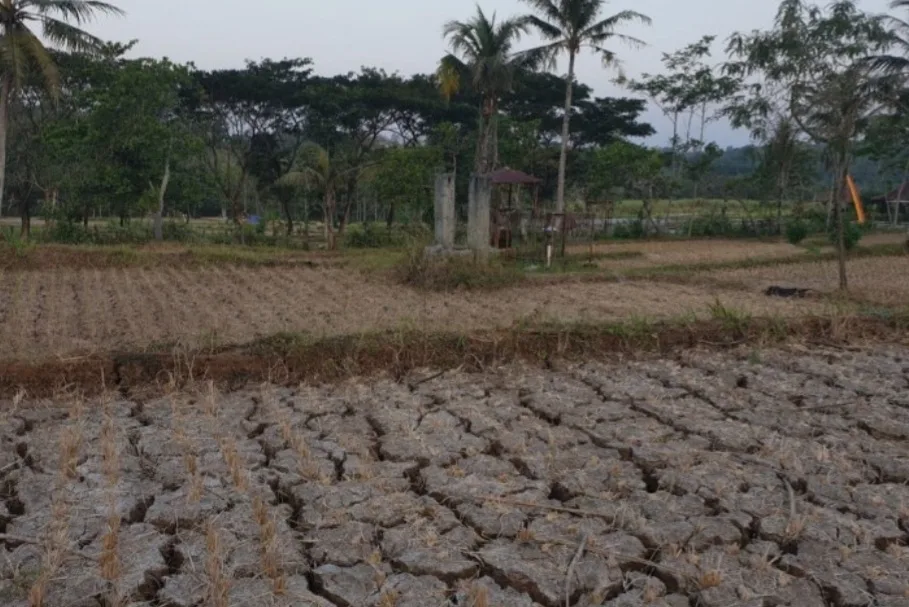 Atensi Nih, Gunungkidul Tetapkan Status Siaga Darurat Kekeringan
