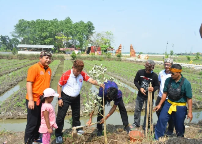 Tanam 300 Bibit Pohon, Prajaniti Tutup Rangkaian Syukuran 58 Tahun