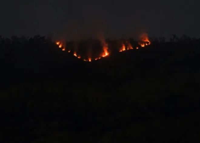 Kebakaran Hutan Gunung Bromo Sudah Empat Hari, Penyebabnya Belum Terungkap