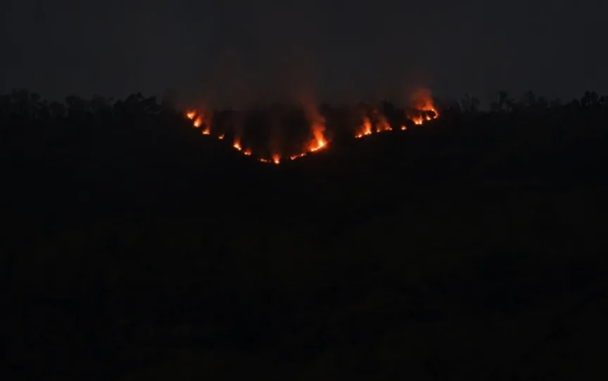 Kebakaran Hutan Gunung Bromo Sudah Empat Hari, Penyebabnya Belum Terungkap
