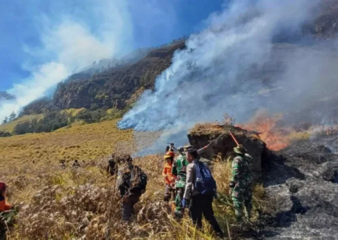 El Nino, Presiden Prabowo Minta Karhutla Ditangani Maksimal