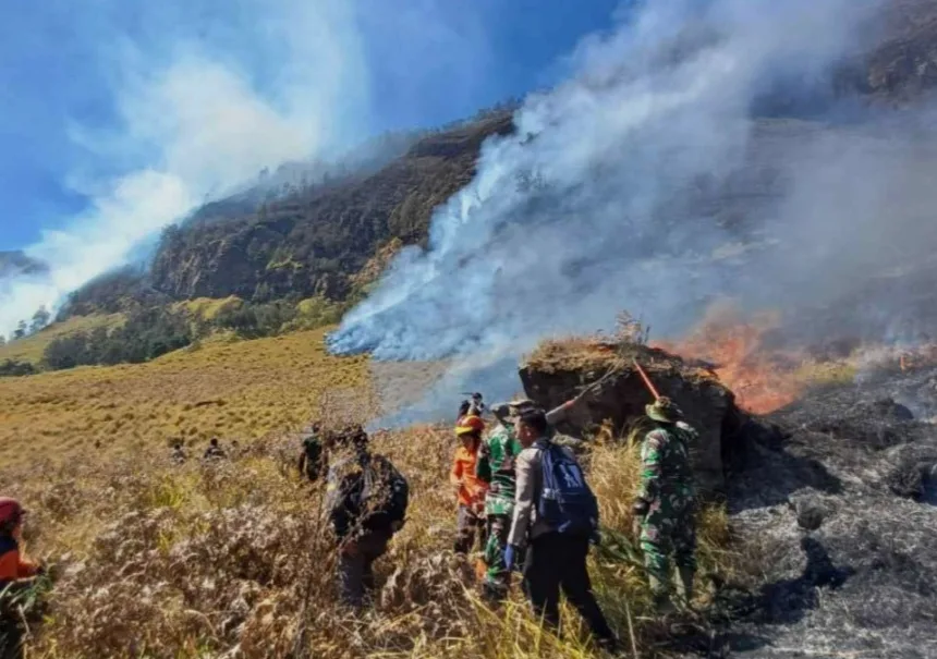 El Nino, Presiden Prabowo Minta Karhutla Ditangani Maksimal