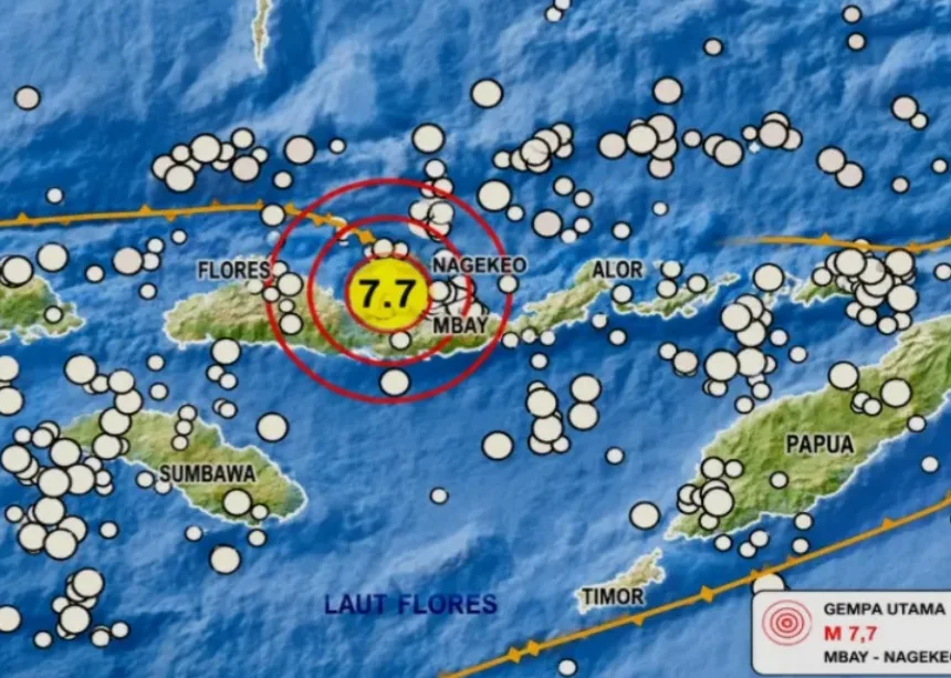 Gempa Magnitudo 7,7 Guncang Nagekeo, Dua Orang Meninggal Dunia di Sikka