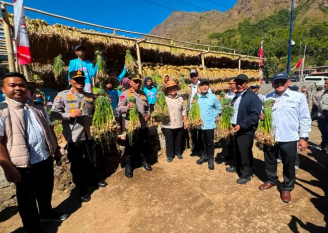 Rekor MURI, Kapolri Tanam Bawang Putih Serentak Di Lahan Terluas