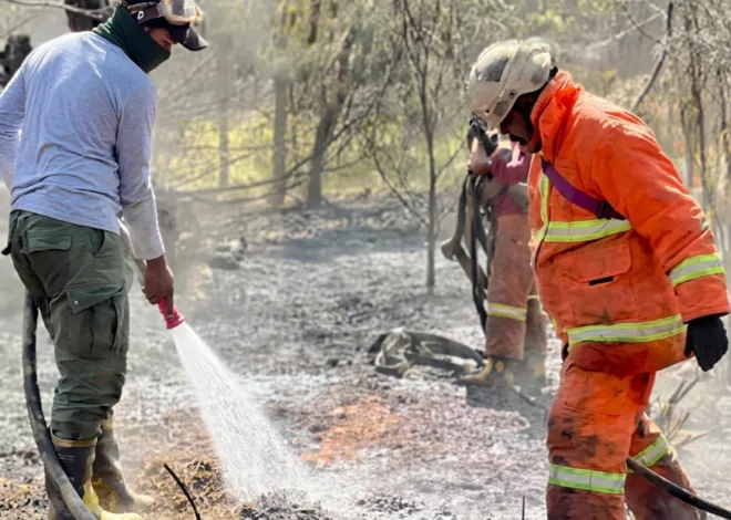 Kebakaran Hutan dan Lahan Gunung Bromo Akhirnya Padam Usai 12 Hari Berjuang