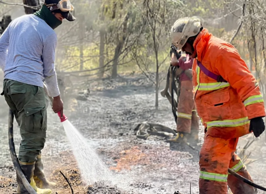 Kebakaran Hutan dan Lahan Gunung Bromo Akhirnya Padam Usai 12 Hari Berjuang