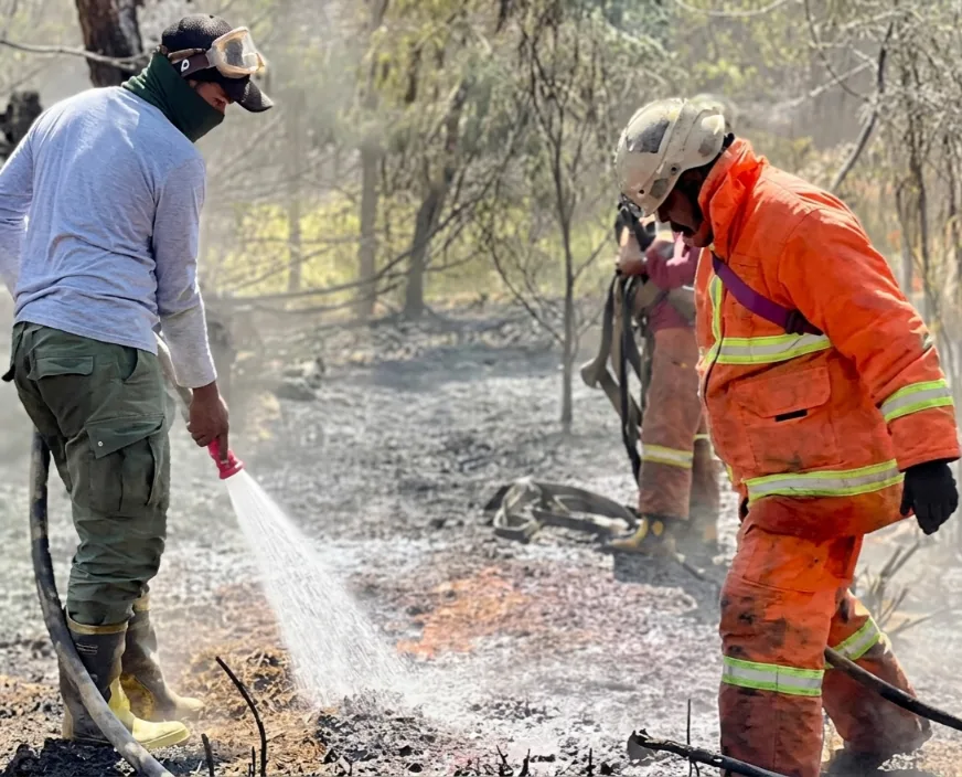 Kebakaran Hutan dan Lahan Gunung Bromo Akhirnya Padam Usai 12 Hari Berjuang