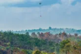 kabut asap